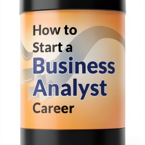 Clear Spring Business Analysis Kindle eBook Business Project-0